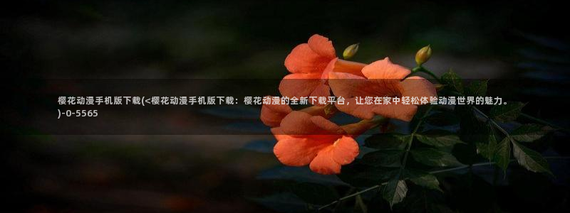 海贼王在线观看全集免费樱花动漫