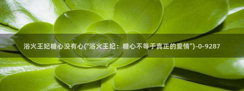 心糖vlog免费版