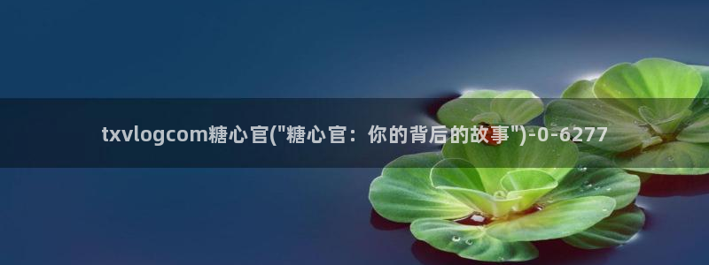 糖心视频vlog免费版