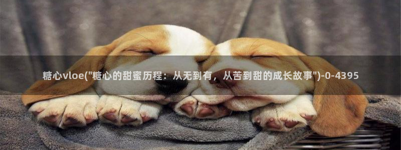 糖心vlog在线观看视频