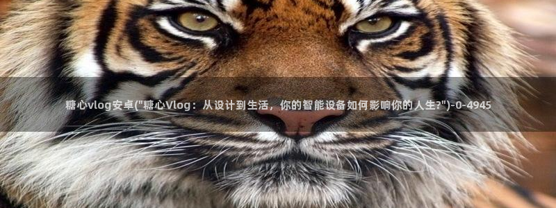糖心vlog精品一区