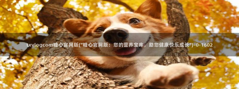 糖心vlog会员