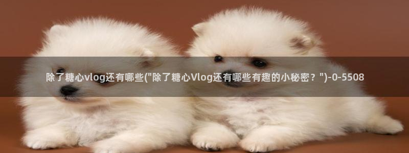心糖vlog免费版