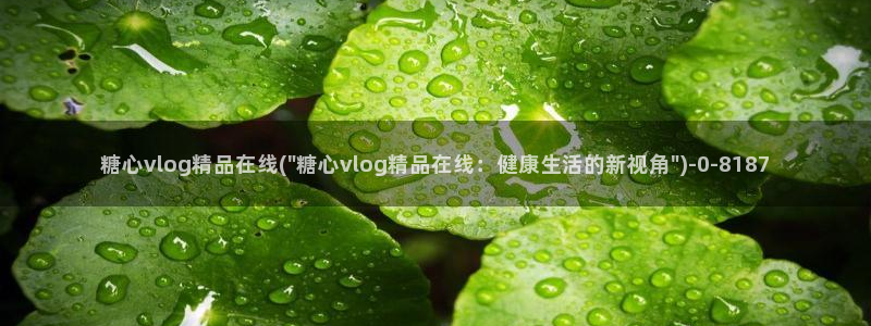 vlog糖心网站