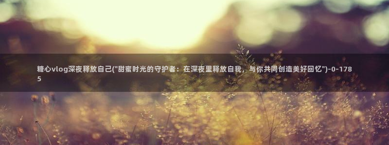 糖心vlog是啥