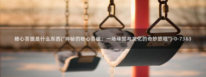 心糖vlog记录