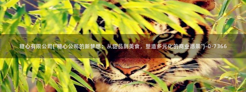 心糖vlog日常