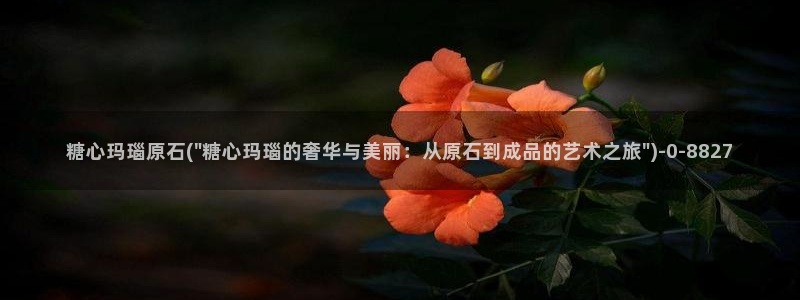 糖心vlog 三秒跳转