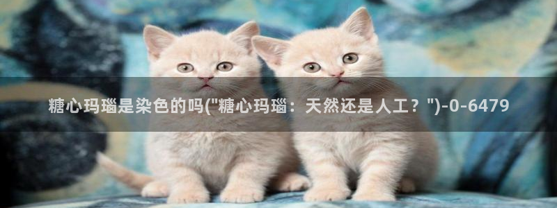 糖心vlog深夜里释放自己