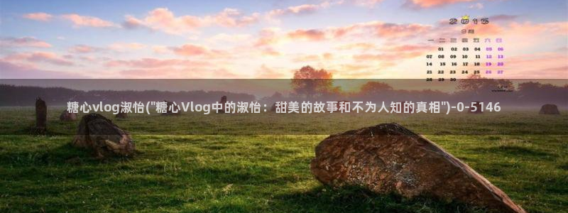 糖心vlog官网版下载
