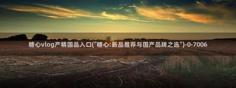 糖心vlog0